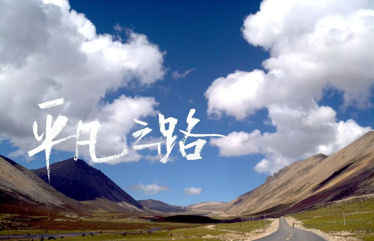 2024年元旦第一篇文章心得
